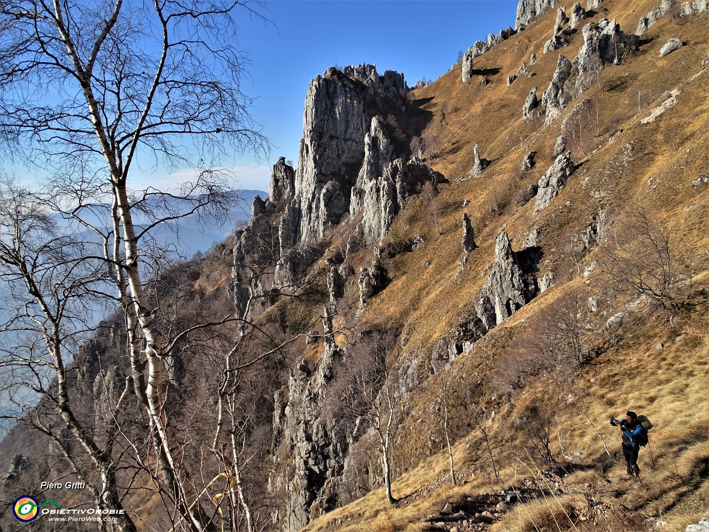 25 In ripida salita tra bianche solitarie betulle.JPG